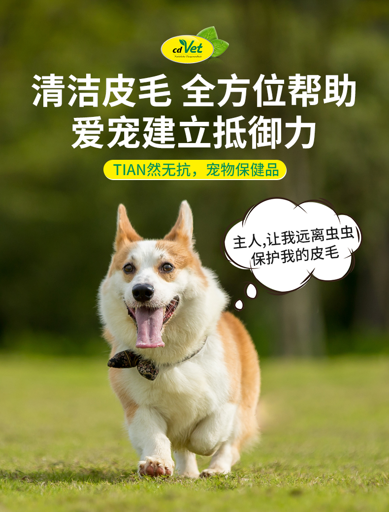 安遁香波_03.jpg